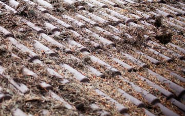 Owmby roof cleaning companies