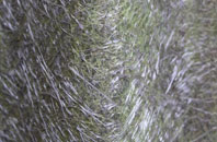 Owmby fibreglass roof work